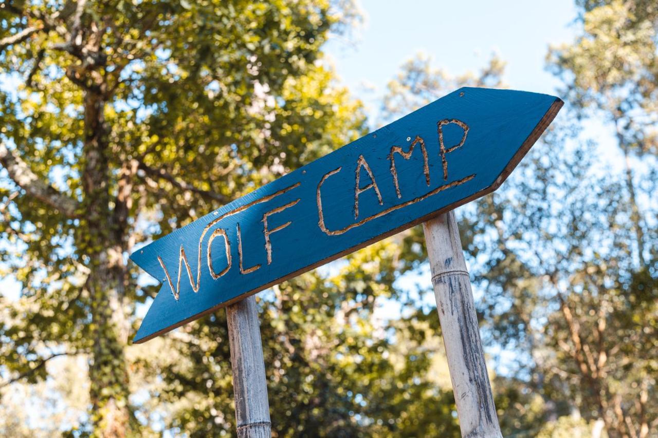 Wolfcamp Surf Moliets 호텔 외부 사진